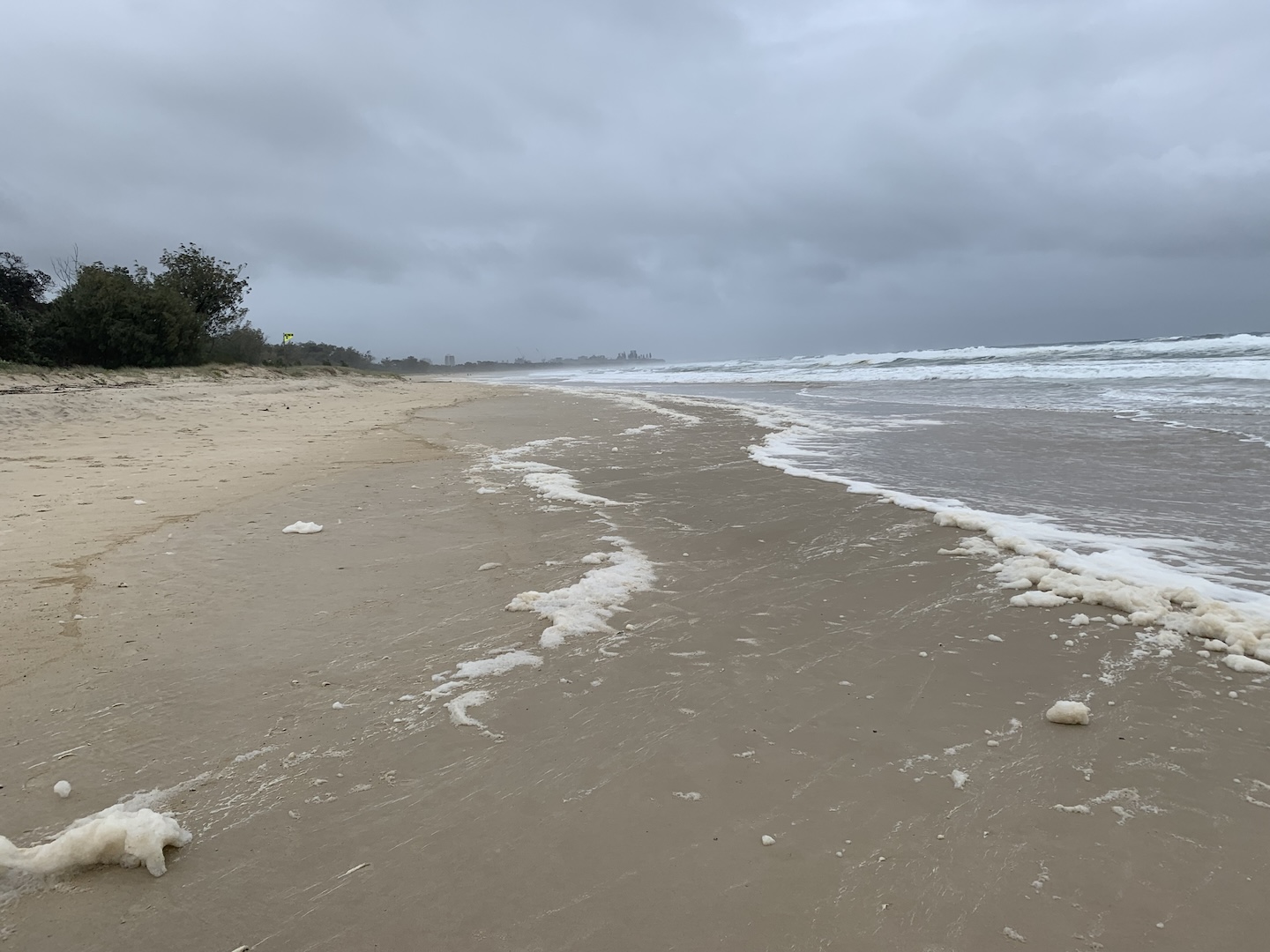 Fingal looking north - 14.08.24