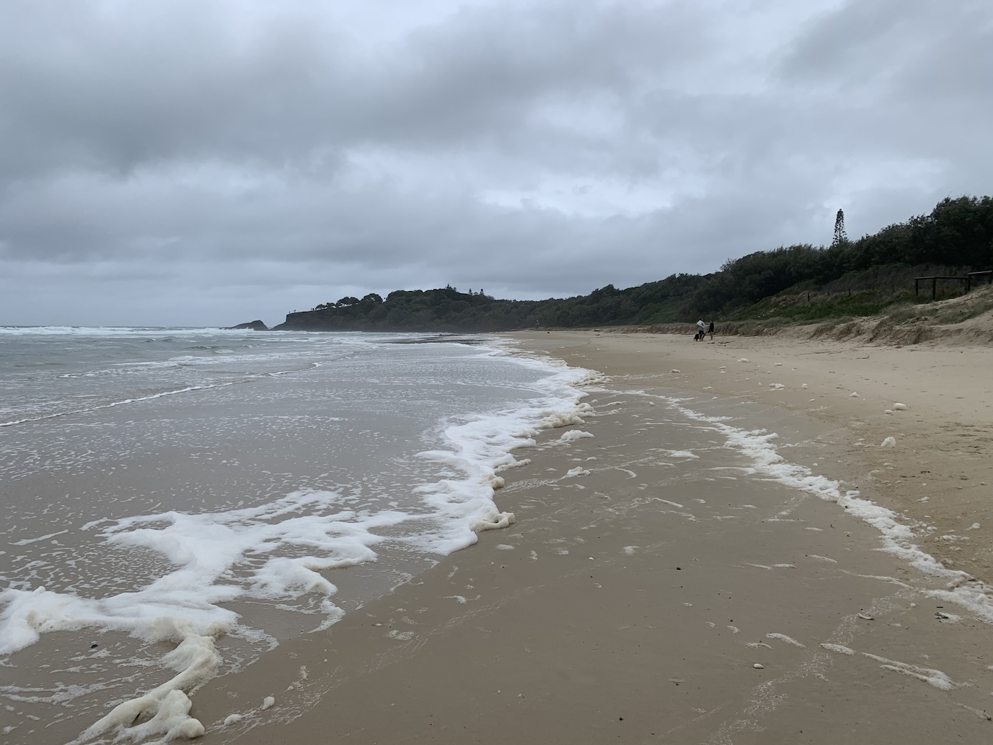 Fingal looking south - 14.08.24