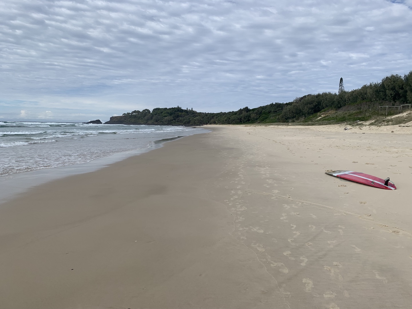 Fingal looking south 14.06.24