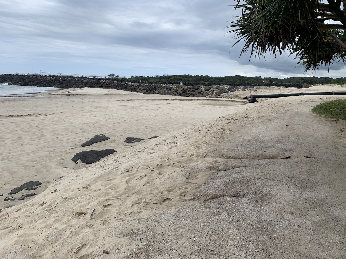 Duranbah Sand Placement - 11.11.2024