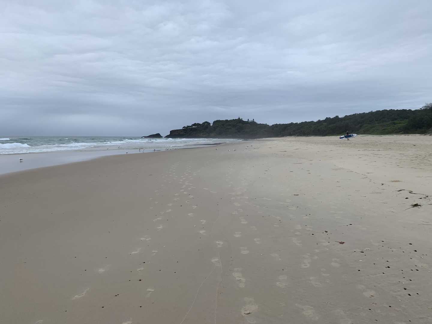 Fingal Looking South - 11.11.2024