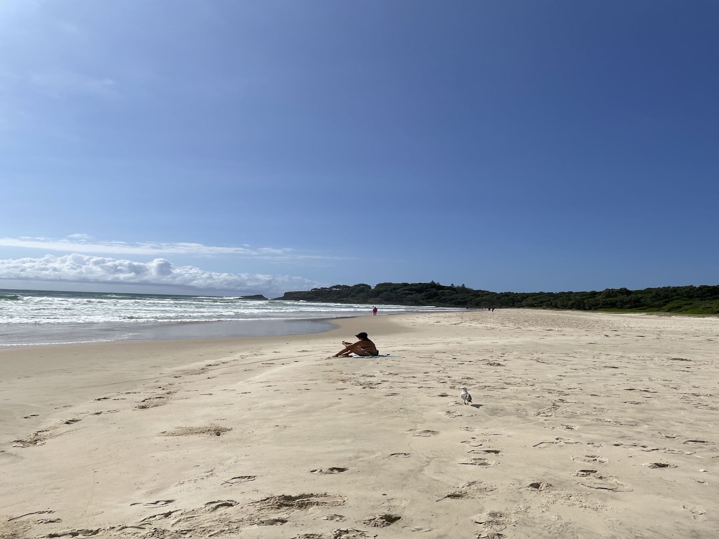 Fingal Beach looking south February 2025