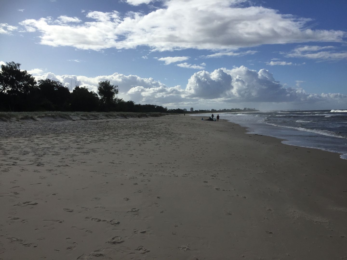 Fingal Beach looking north March 2022