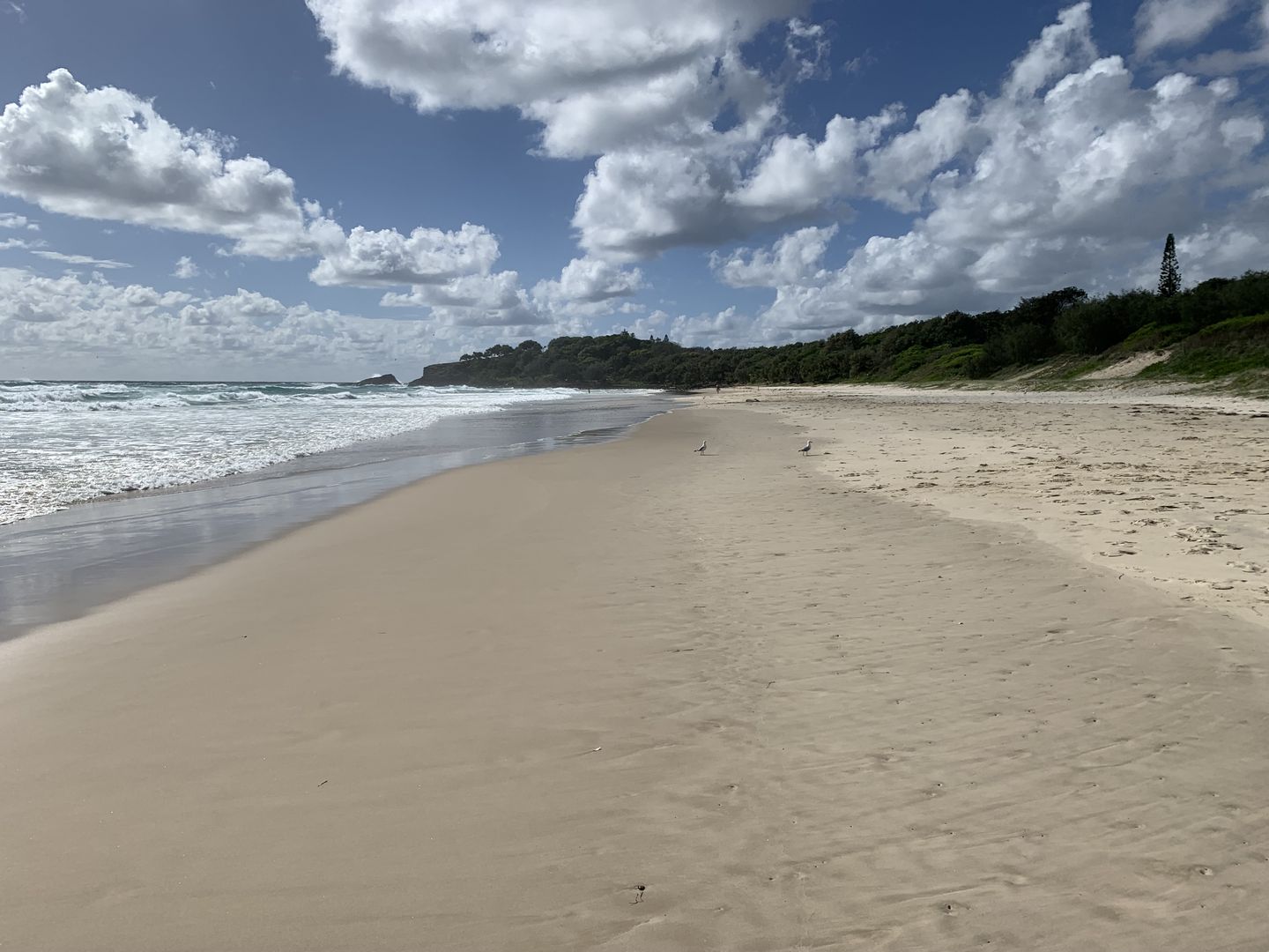 Fingal Beach looking south 10 February